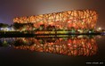 /album/resim-galerisi/ku%c5%9f-yuvas%c4%b1-jpg/